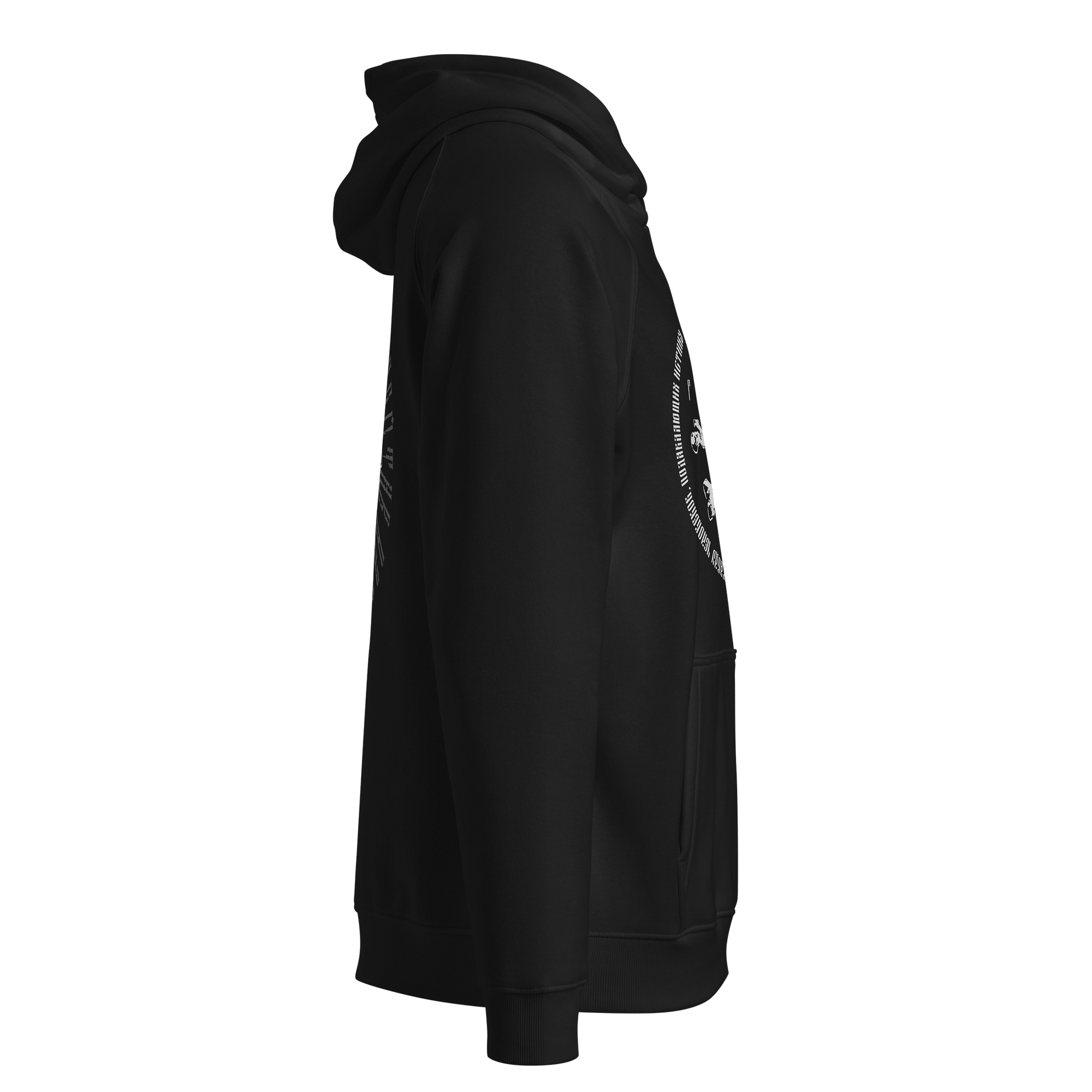 All Things Through Christ Raglan Hoodie product image (4)