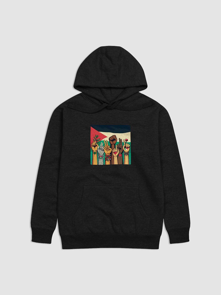 Unity and Solidarity Hoodie | free palestina product image (2)