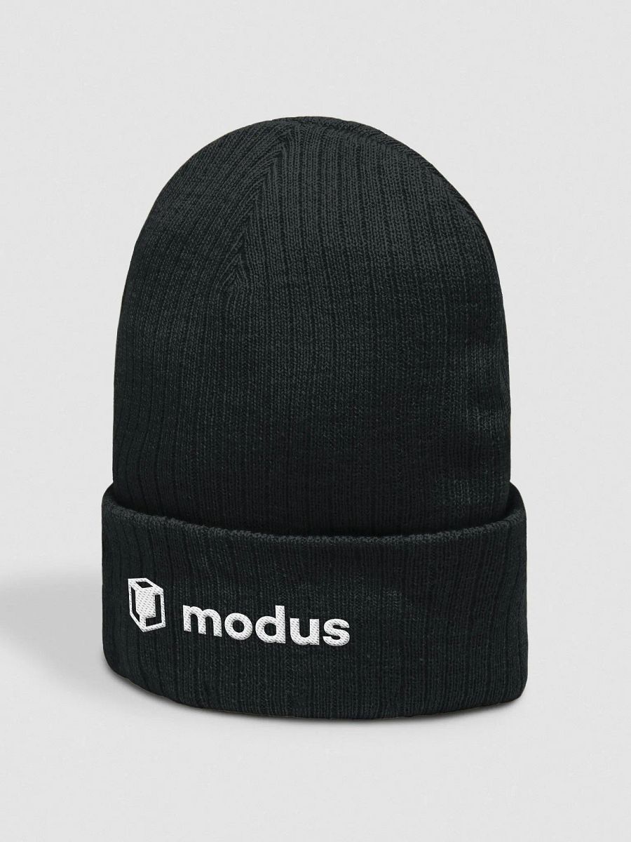 beanie// ribbed knit (black) product image (2)
