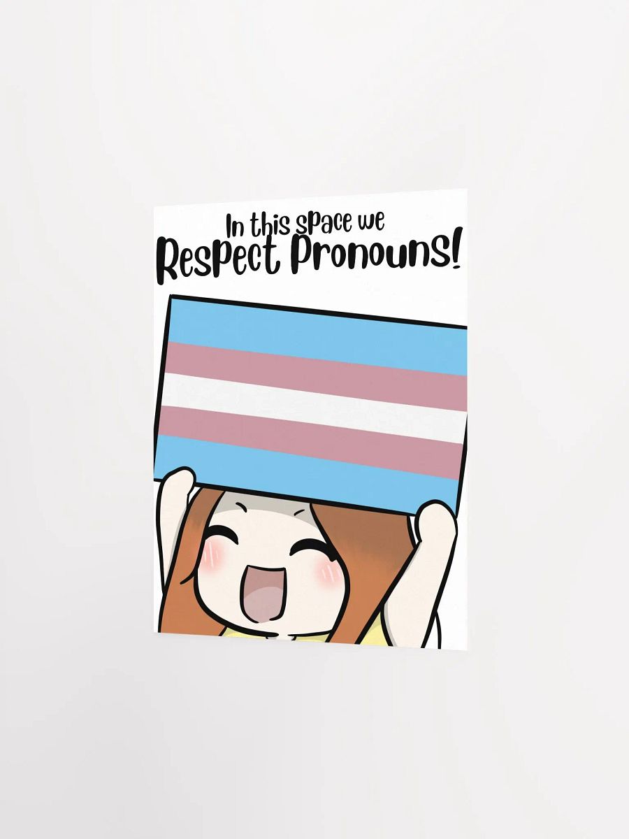 Respect Pronouns Poster - Transgender product image (2)