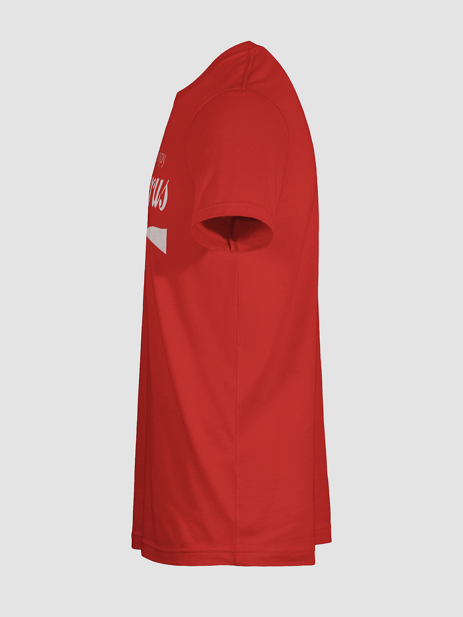 Enjoy Epicurus (Bella+Canvas Supersoft T-Shirt) product image (59)