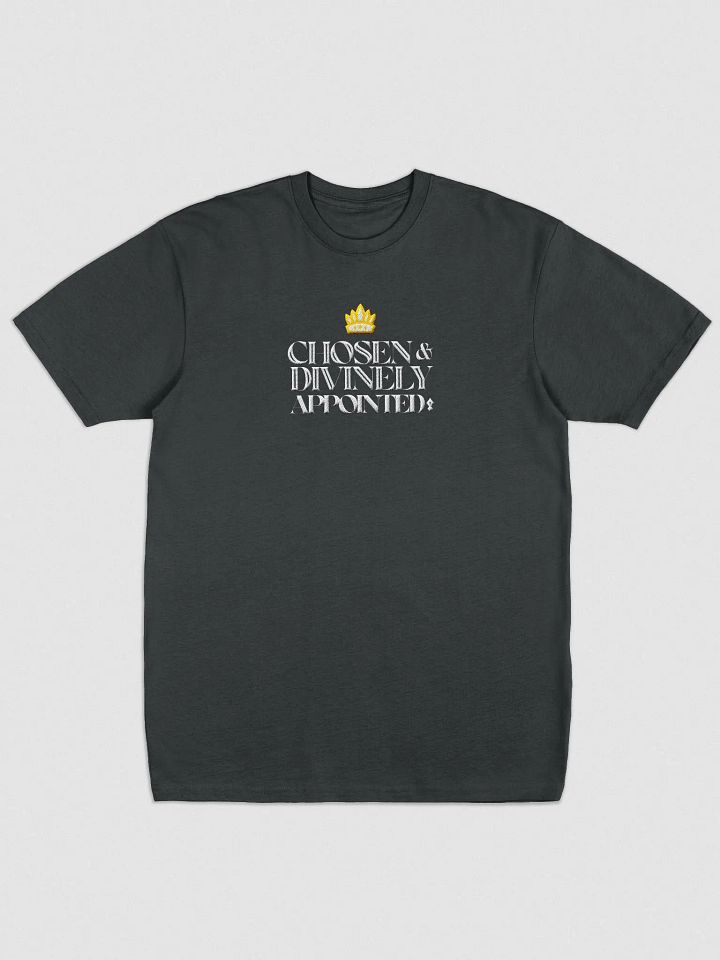 Chosen and Divinely Appointed product image (3)