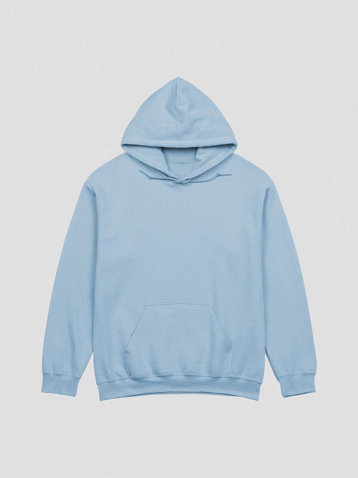 Lost Cat Large Back Logo Hoodie product image (4)