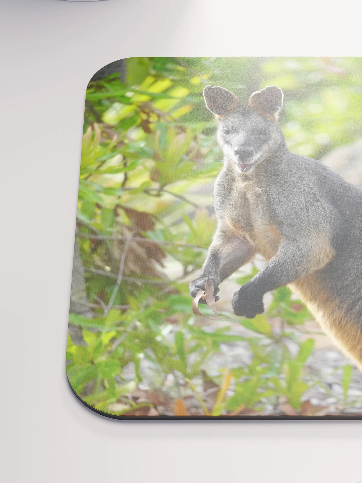 Kangaroo on a Mouse Pad product image (6)