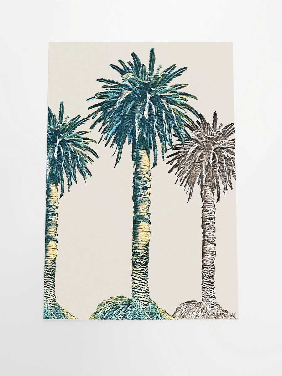 3 Palm Trees - Portrait - Museum-Quality Poster product image (3)
