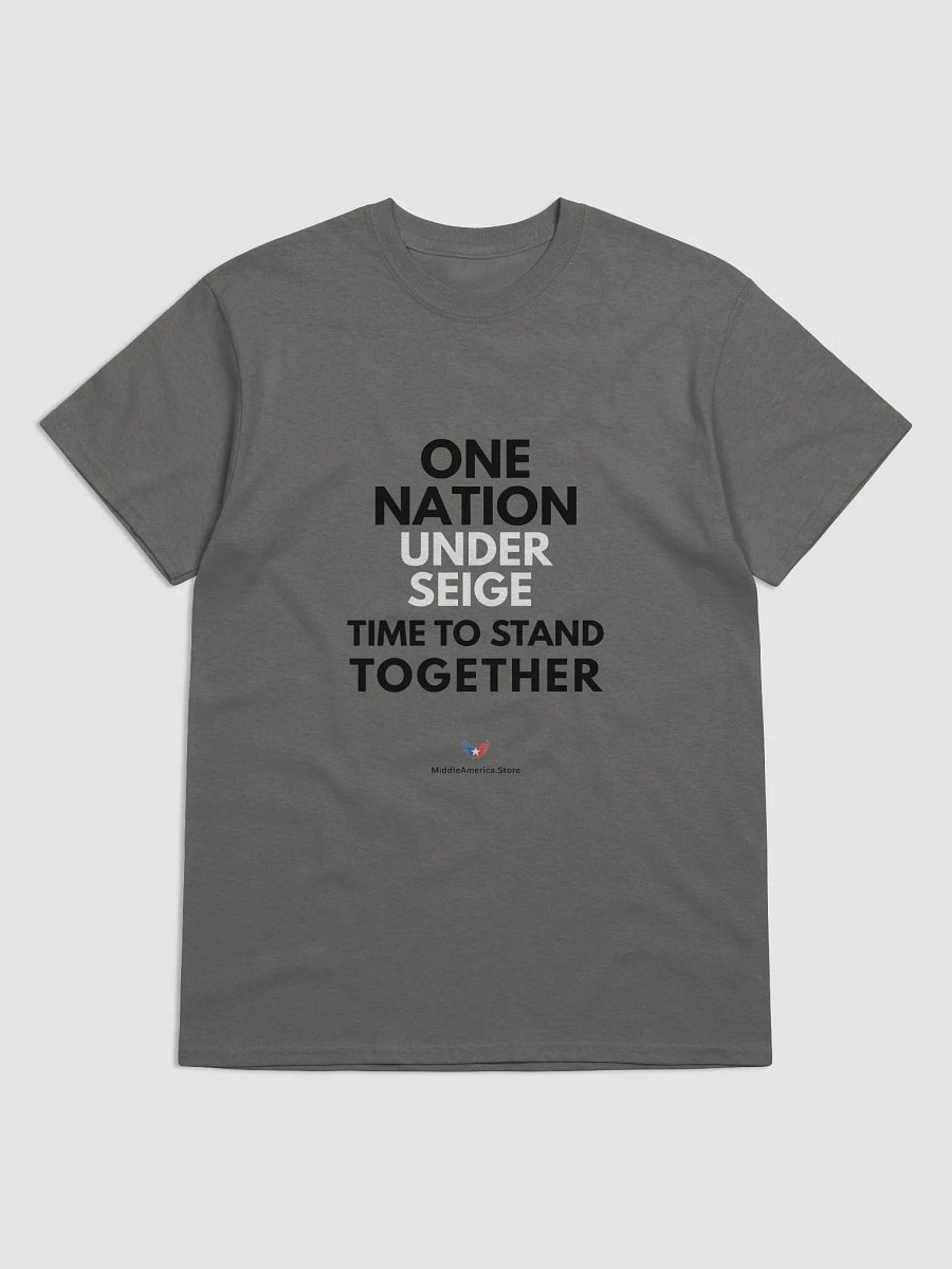 One Nation Under Seige product image (4)