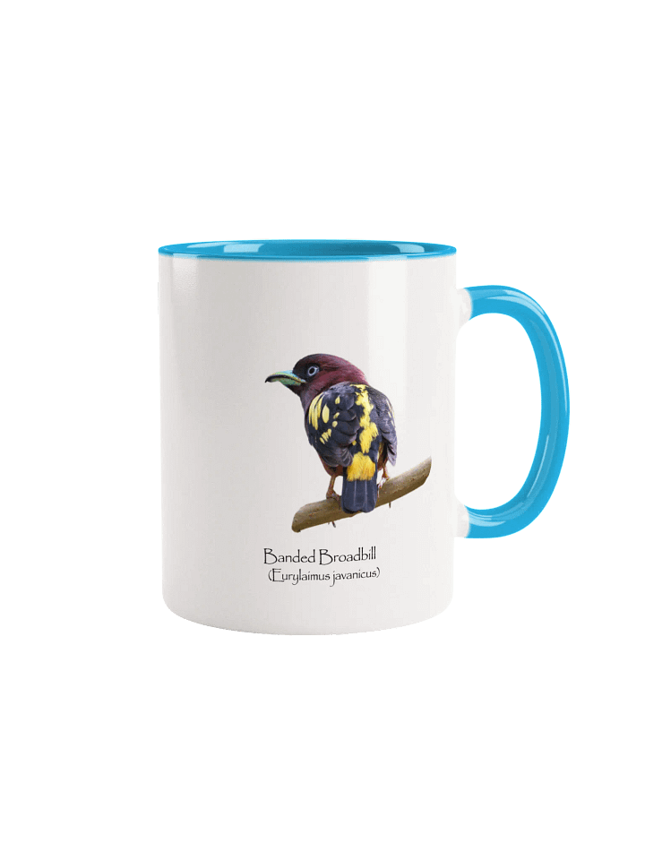 Banded Broadbill mug product image (1)