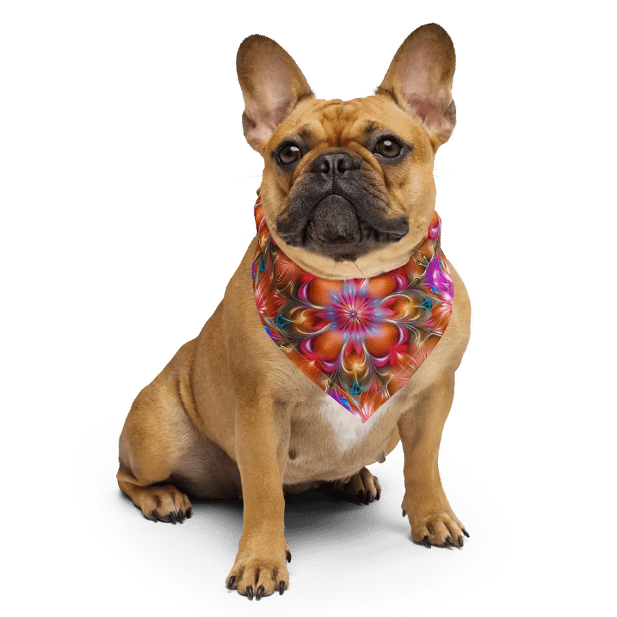 Blazey Bandana product image (4)