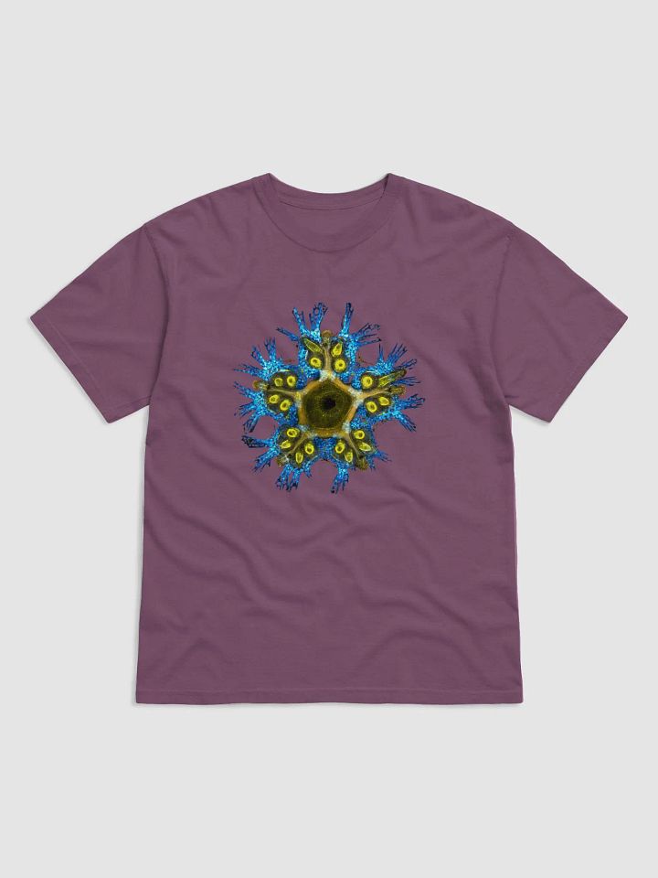 Starfish Nervous System 2 product image (16)