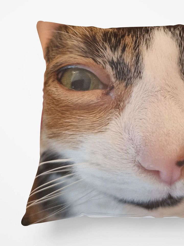 Rosie Looking Like A Stupid Fucking Idiot Pillow product image (2)