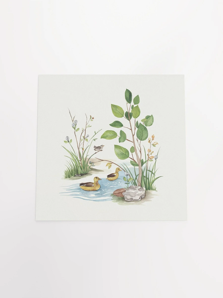 Tranquil Ducks Watercolor - Poster product image (4)