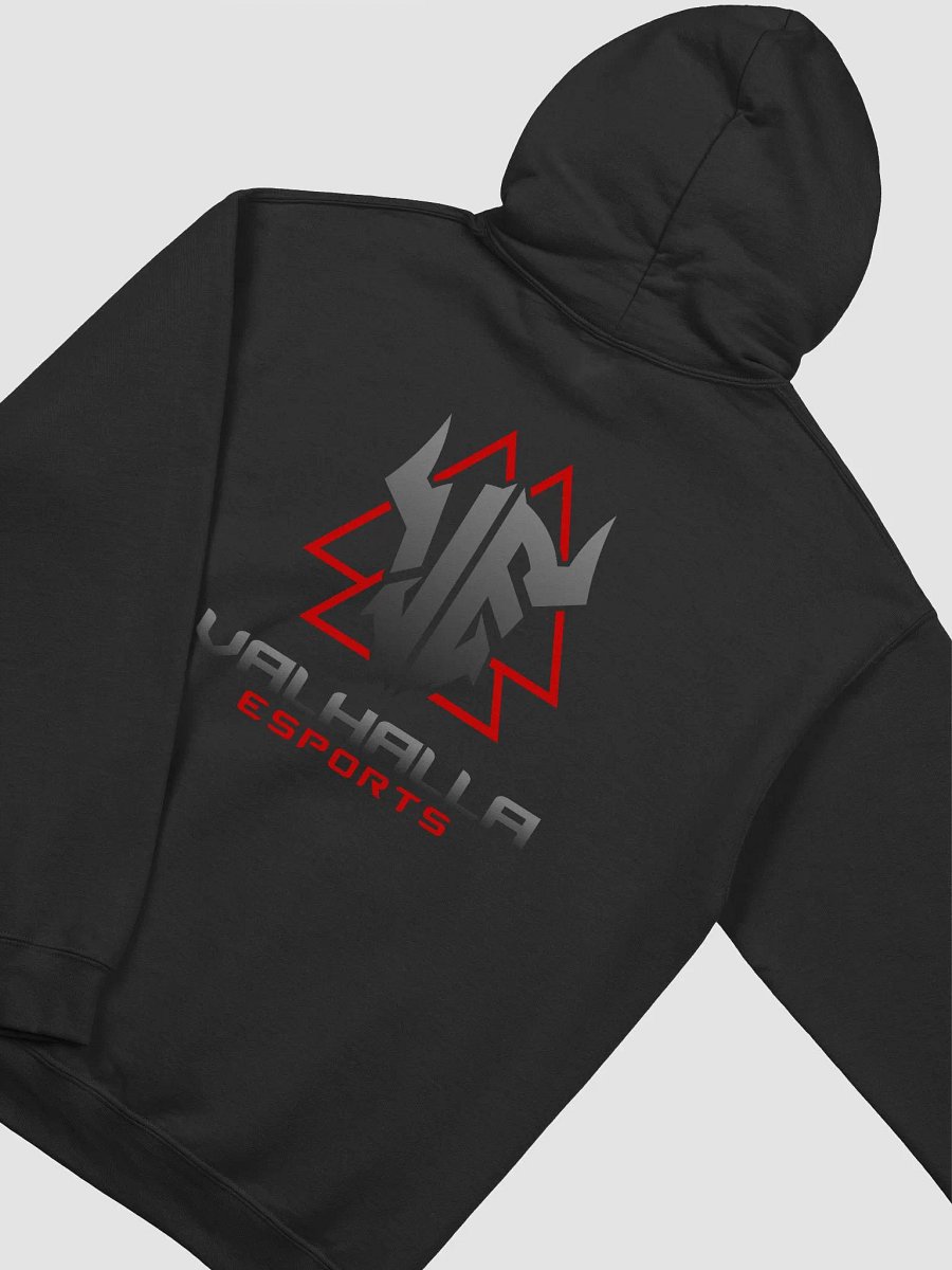 VE Back-Logo Hoodie product image (7)