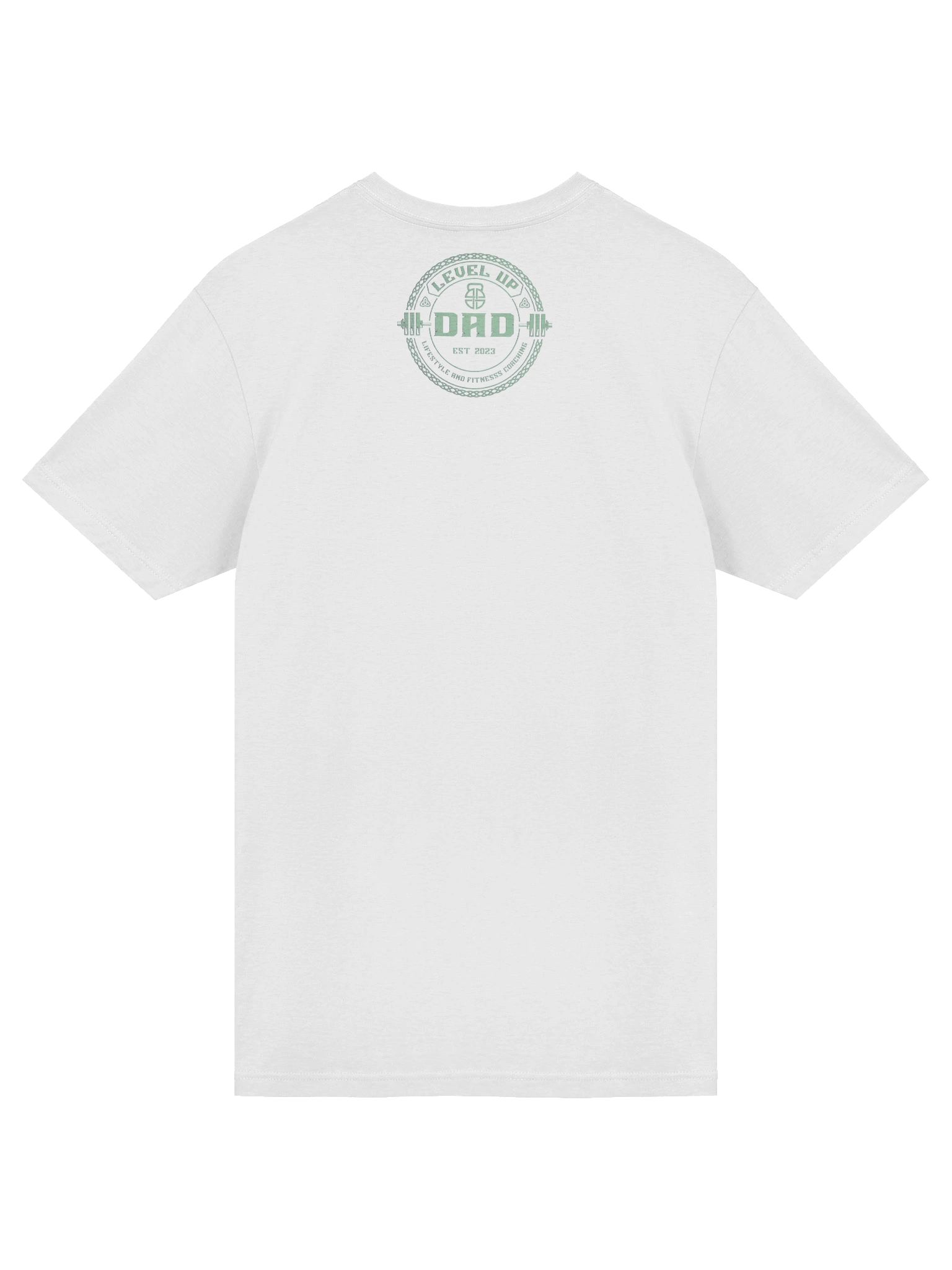 Level Up Dad T (Mint) product image (6)