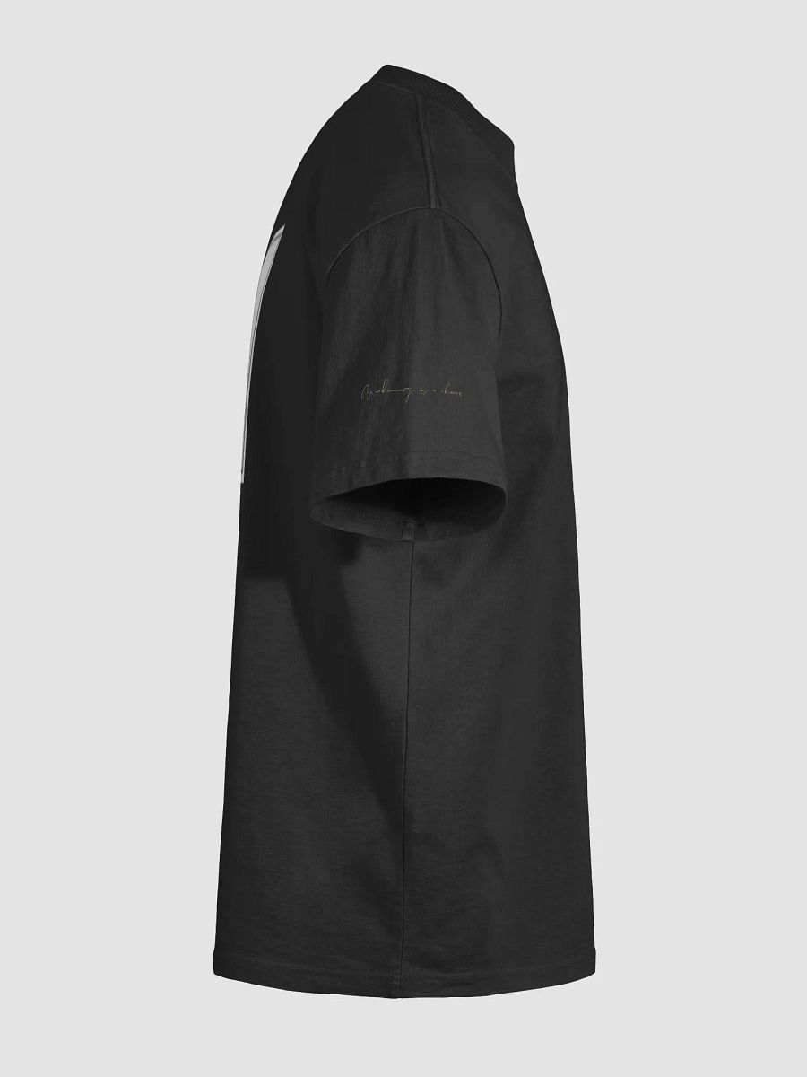Street Alchemy Premium Oversized Tee product image (37)