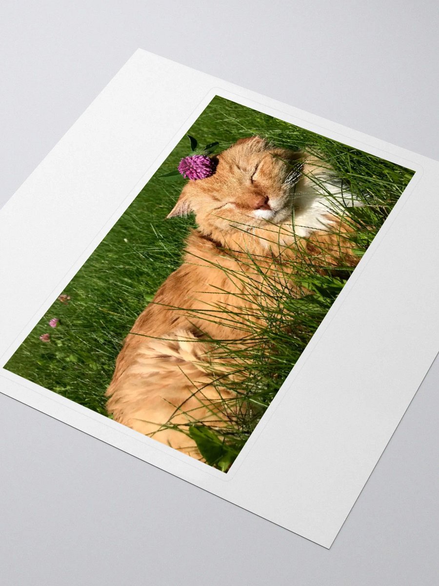 Clover Boy Sticker product image (3)
