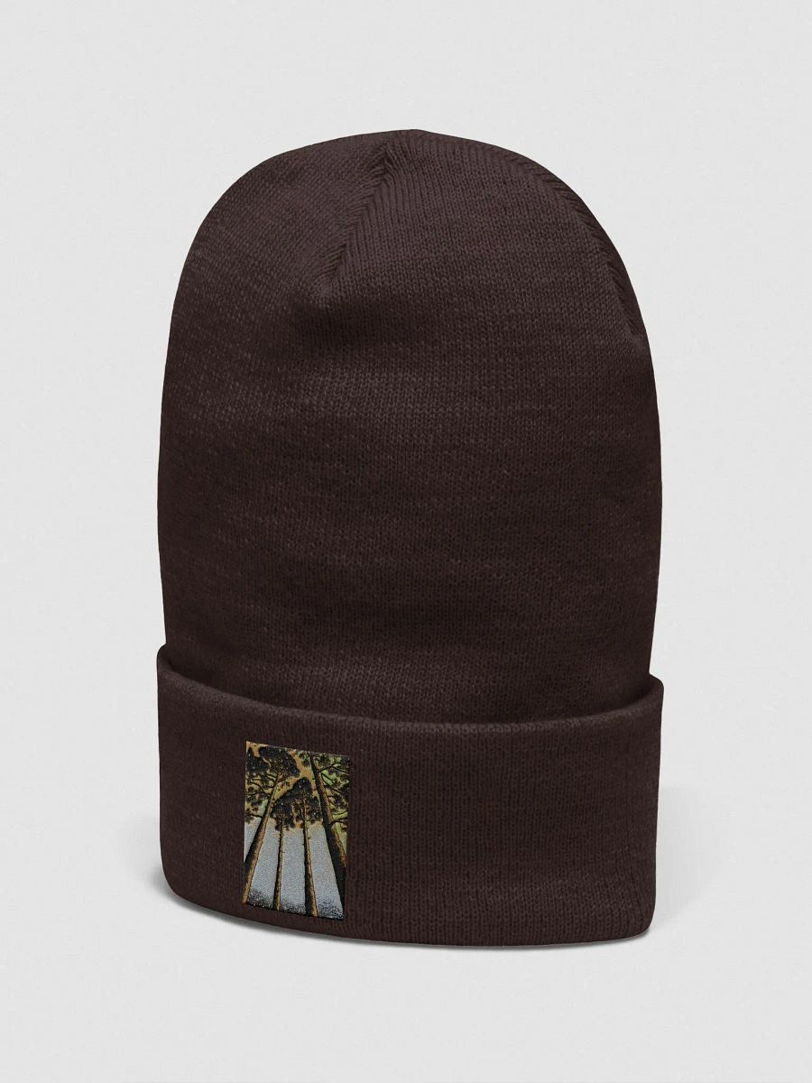 Skyward Bound Beanie product image (14)