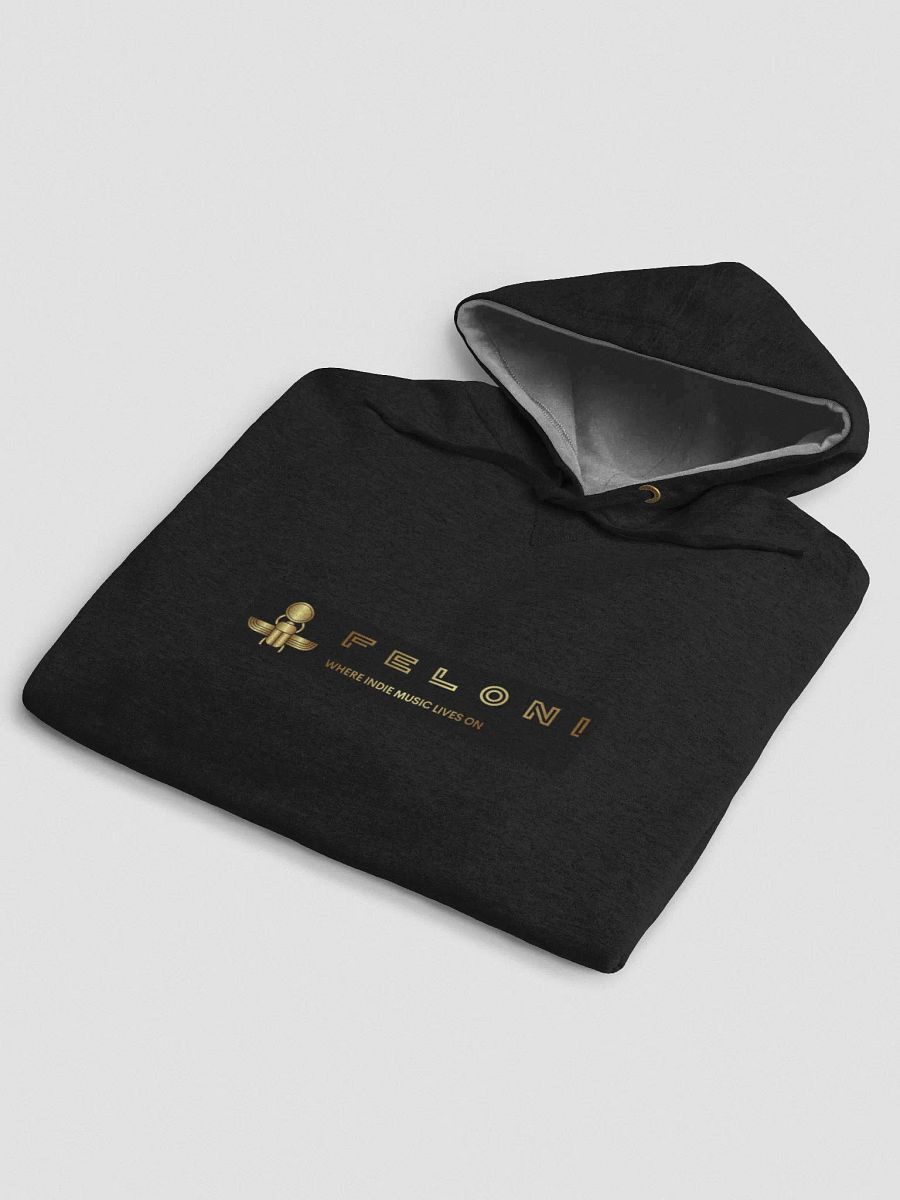 FELONI HOODIE product image (5)