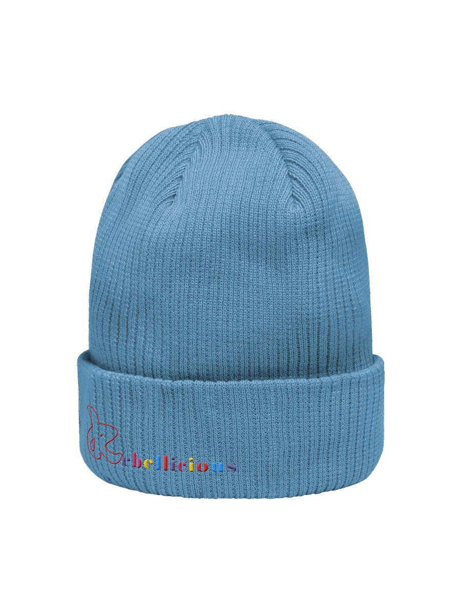 Rebellicious Freedom Beanie product image (30)