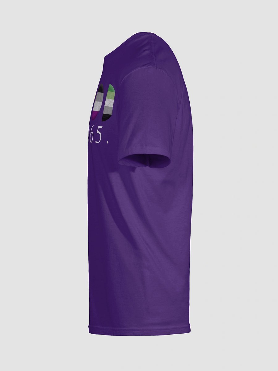 Pride 365 Tee product image (61)