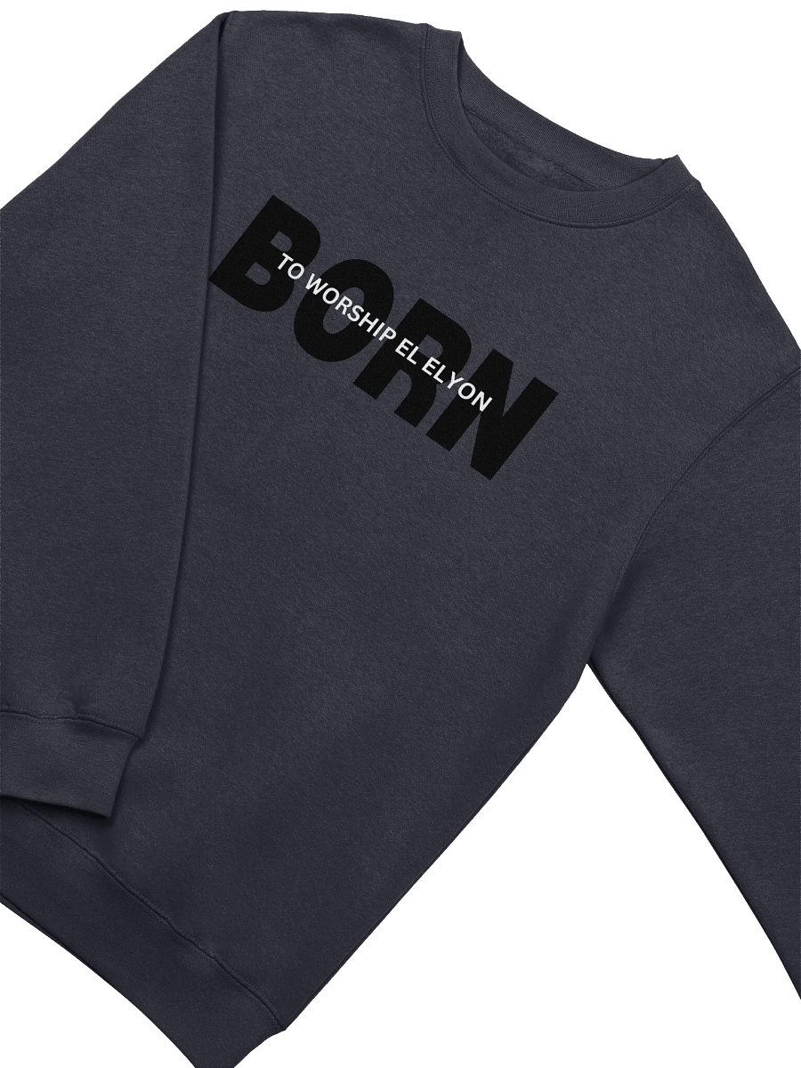 Elevated Worship Crewneck Sweatshirt product image (10)