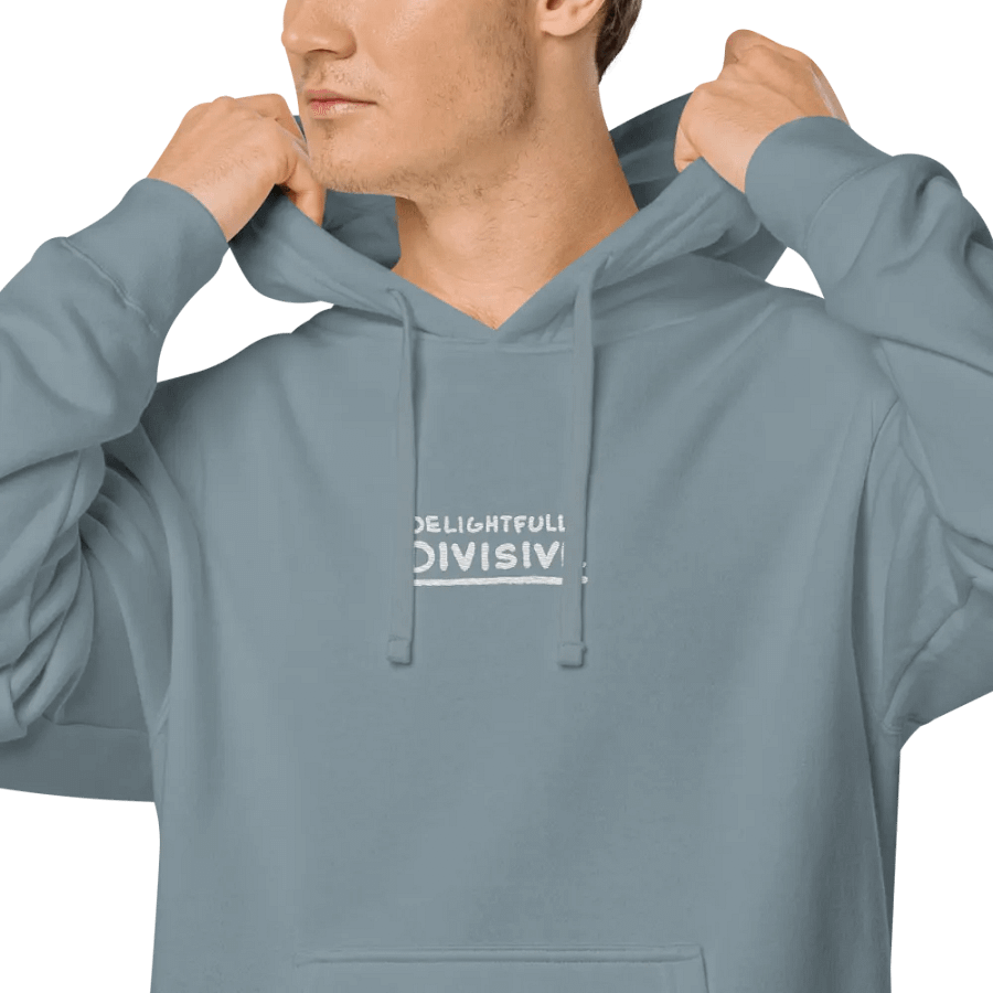 DELIGHTFULLY DIVISIVE (center, white design) embroidered pigment hoodie product image (63)