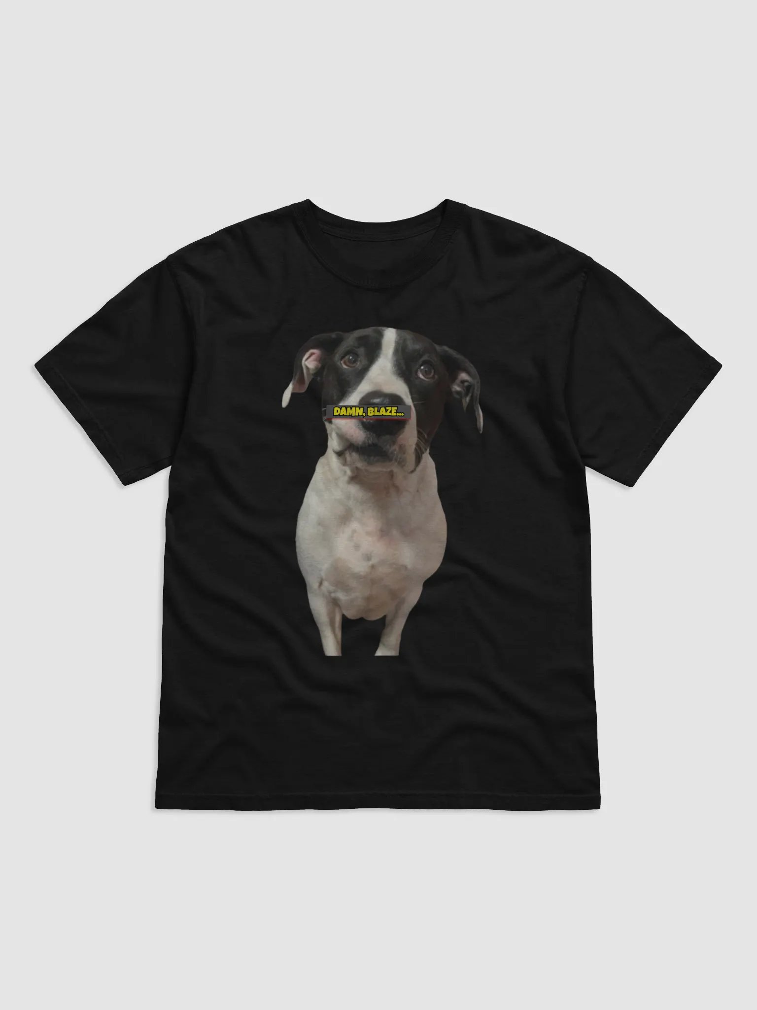 BLAZE A SWISHA Stylized T-Shirt product image (1)