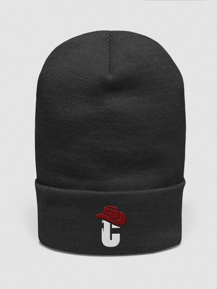 Logo Beanie product image (1)
