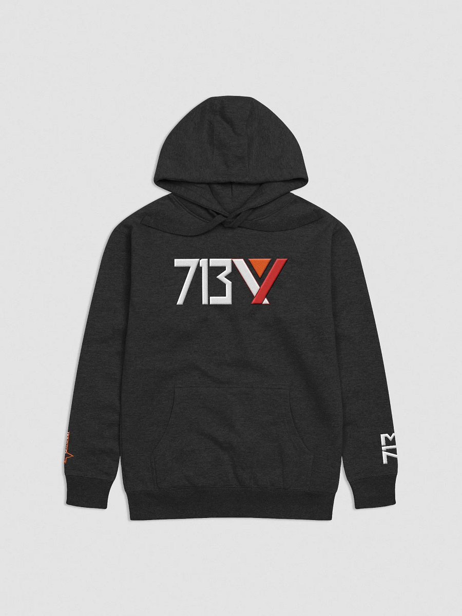 Houston Starwalkers 713 Day Hoodie | VGL product image (1)