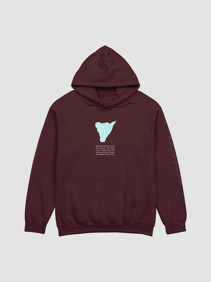 Show Em hoodie 1 product image (1)