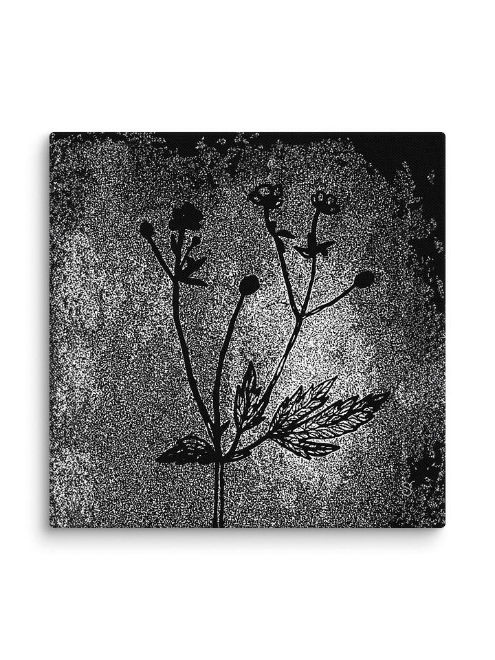 Visionary Canvas Collection - Wild Flowers Dark Stylish product image (2)