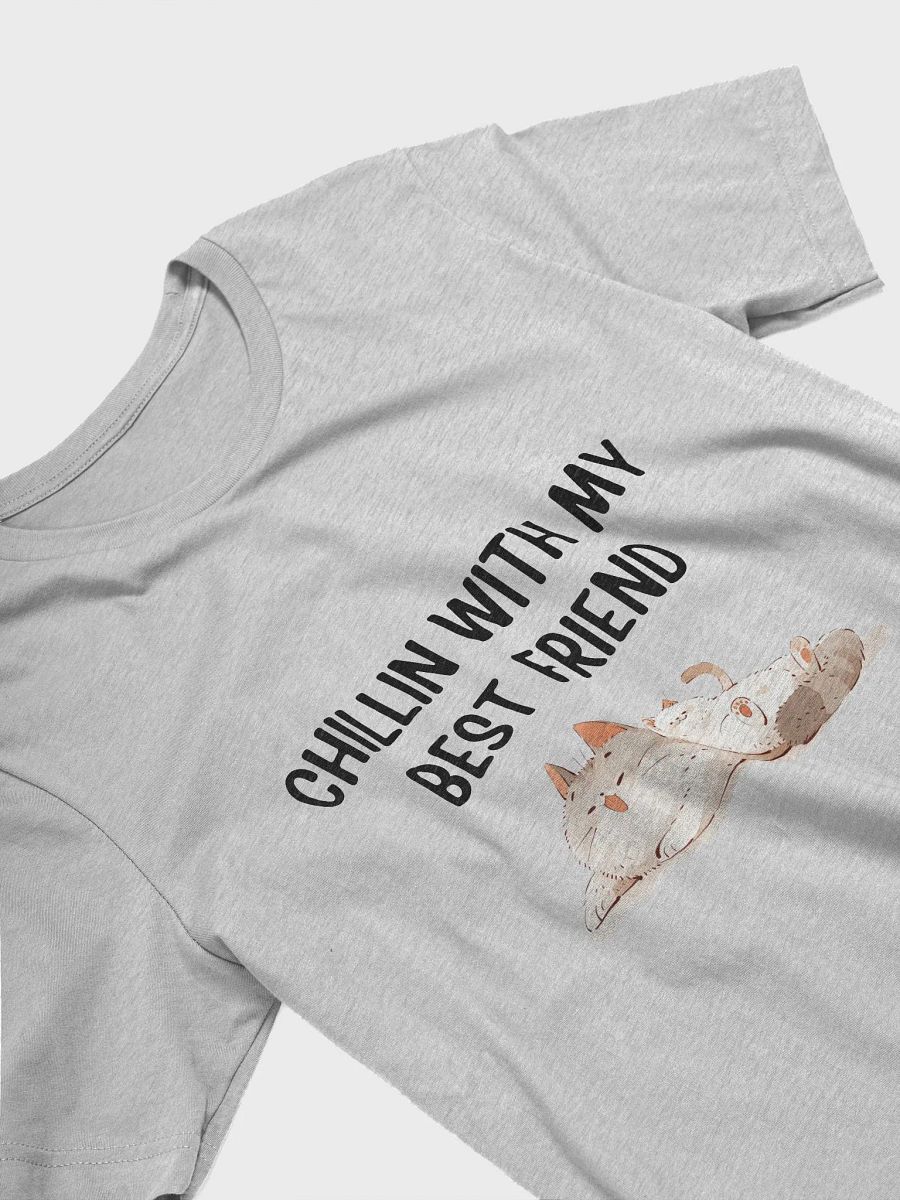 Two Cats Chilling - 