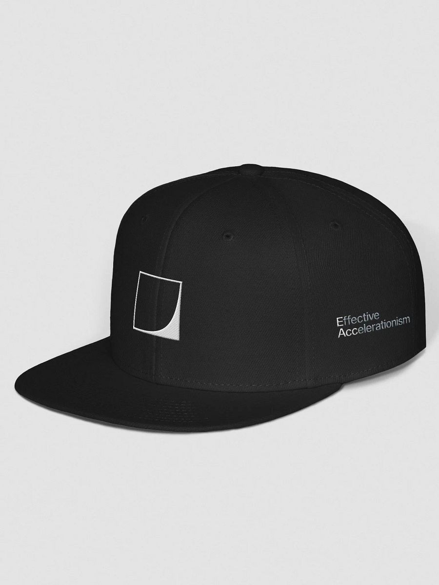 e/acc snapback product image (2)