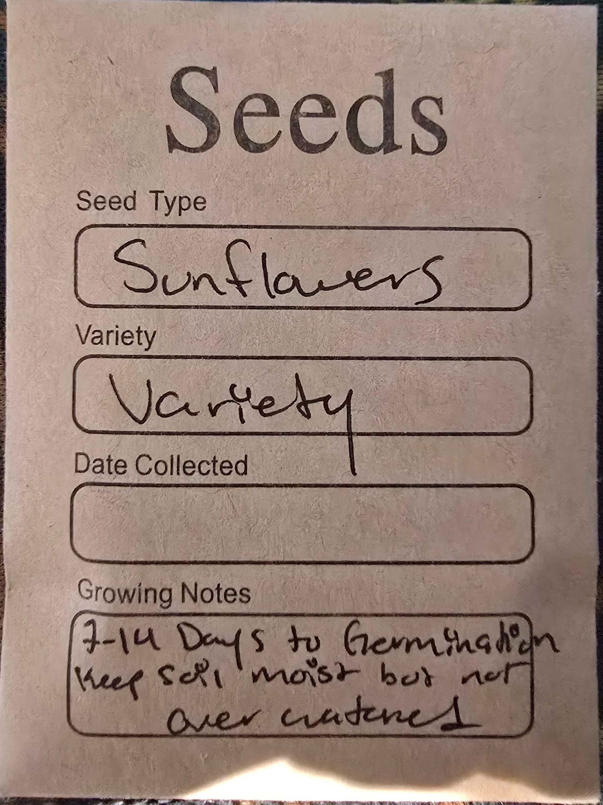 SEEDS! Updated! product image (11)