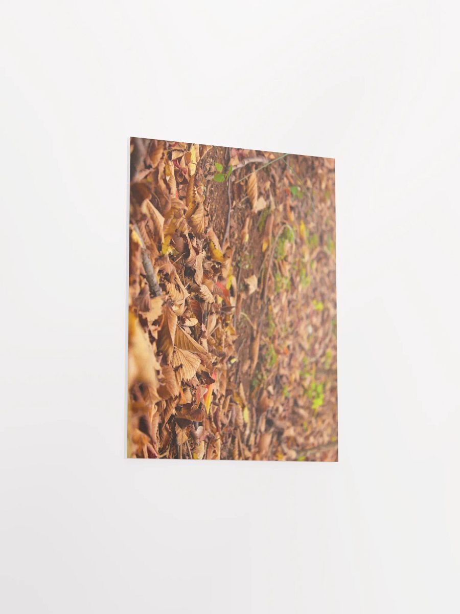 A Bed for Zagreus Dionysus product image (29)