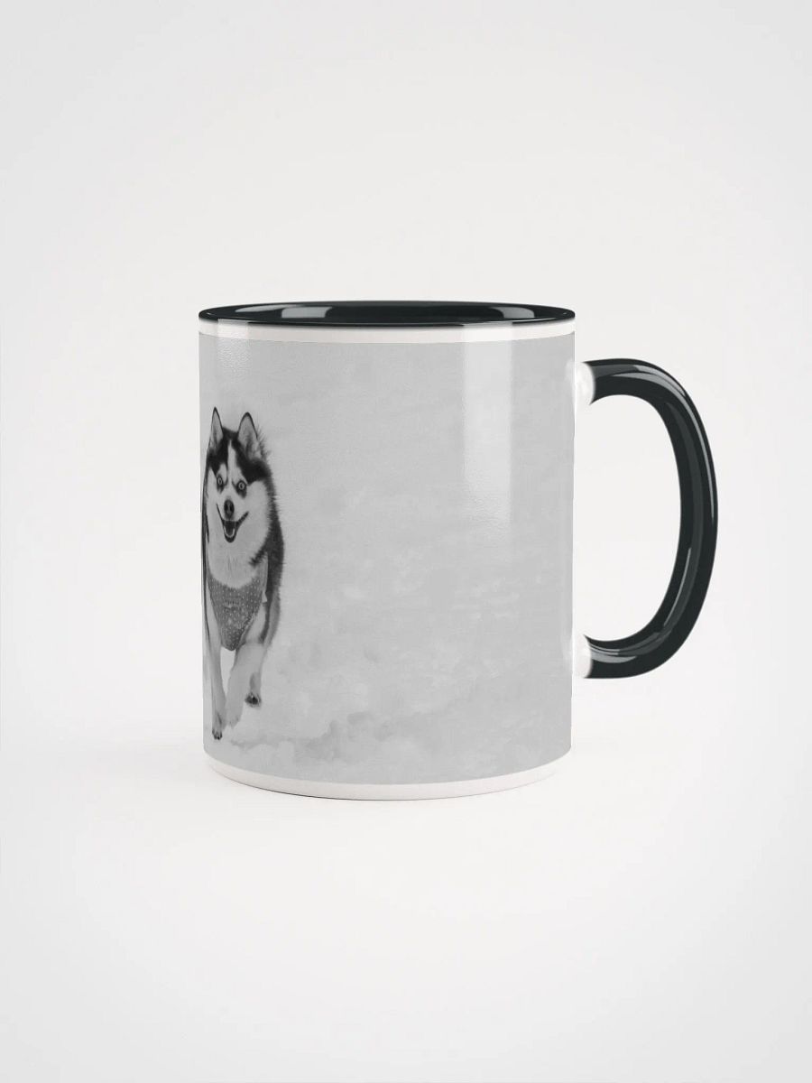 Klee Kai brother and sister running on the snow - B&W product image (3)