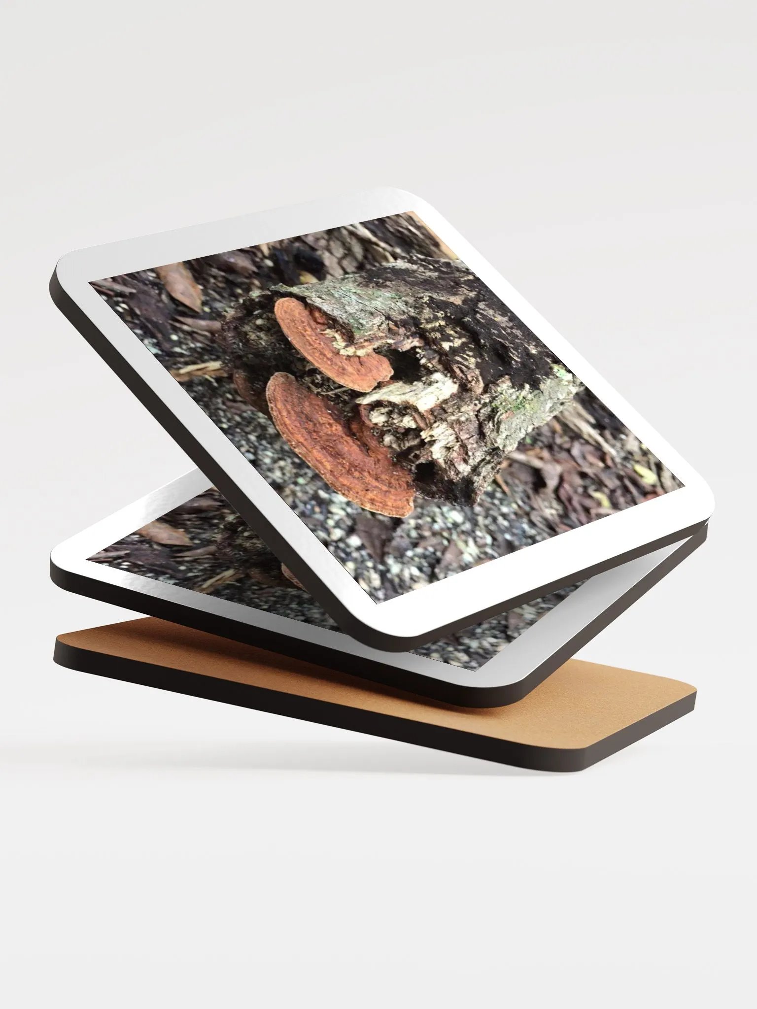 Tree trunk photo coaster product image (4)