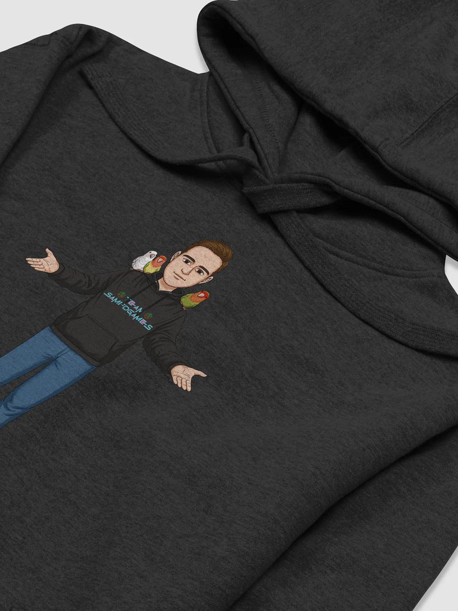 Welcomer Hoodie product image (3)