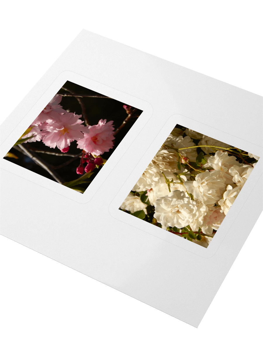 Flowers - Sticker Sheet product image (3)