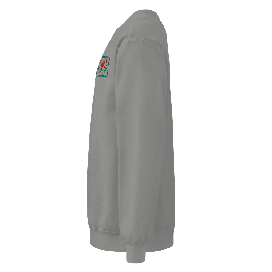 Hungarian Colors In The Gray Embroidered Sweatshirt product image (3)