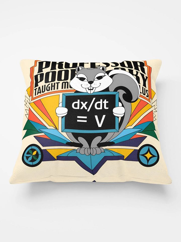 Comfy Pillow: Prof Pooky Taught Me calculus product image (2)