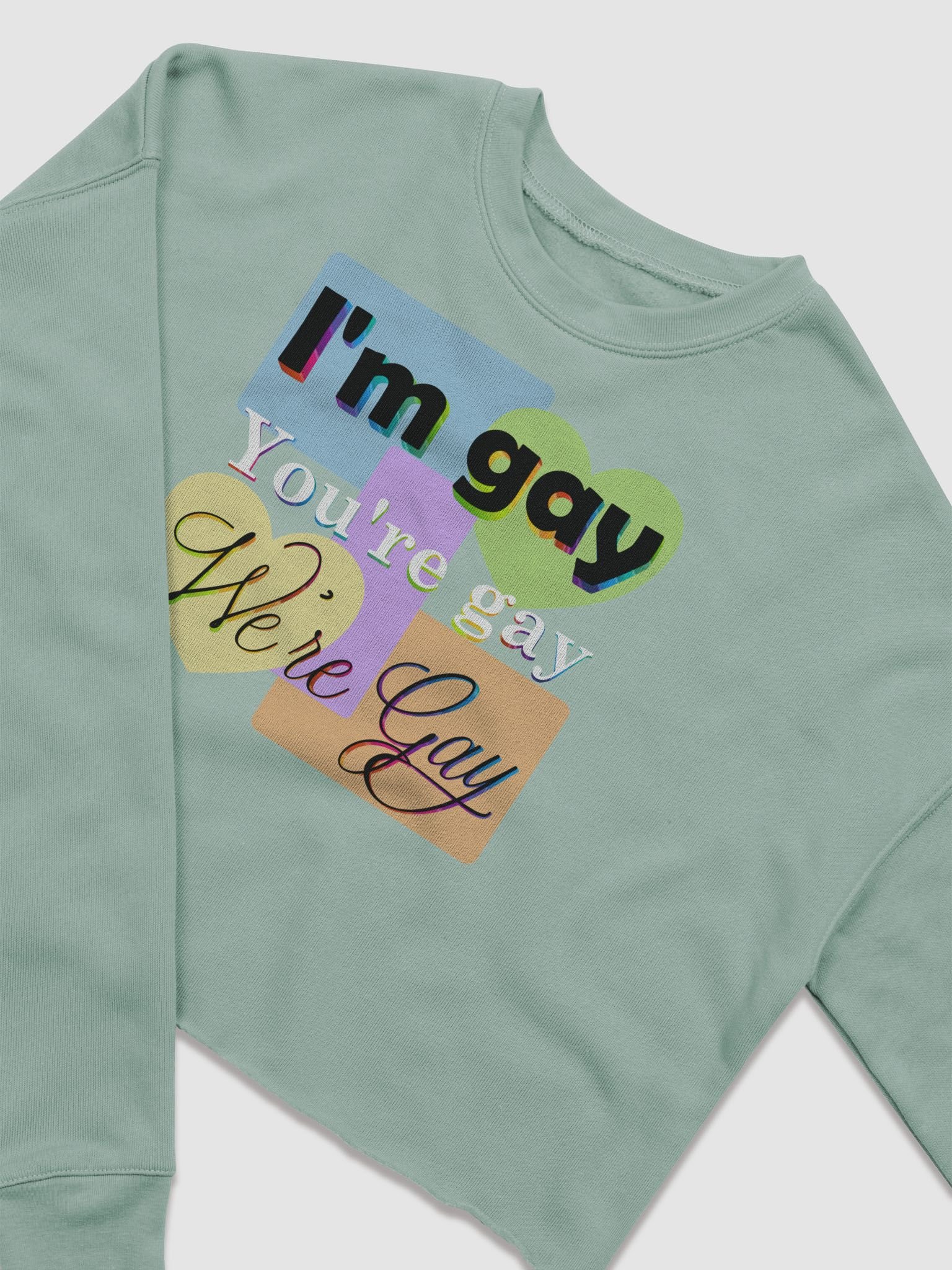 We're Gay Cropped Fleece Sweatshirt product image (1)