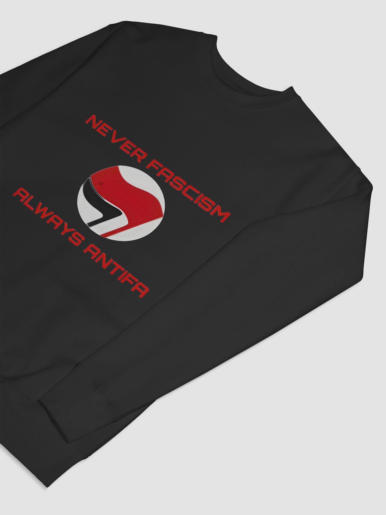 Never Fascism Statement Sweatshirt product image (38)