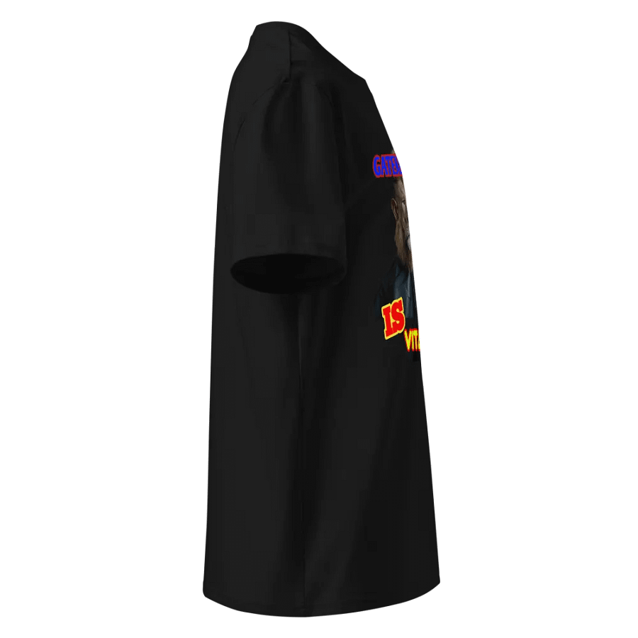 Destiny's Gatekeeper Lion Cape T-Shirt product image (10)