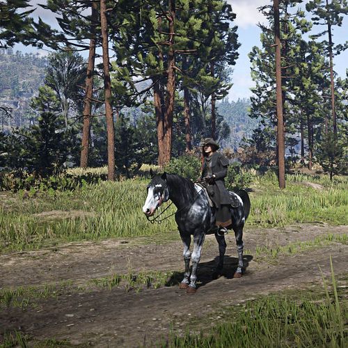 🌾 Die Pferdehändlerin der Undead Plains 🐴

Durch die weiten Ebenen der Undead Plains zieht eine geheimnisvolle Frau mit einer...