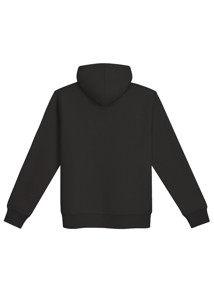 Live in the Moment Premium Hoodie product image (10)