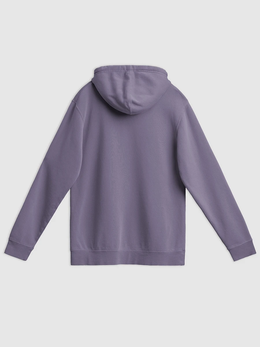 Camp Chaos 2024 Hoodie product image (4)