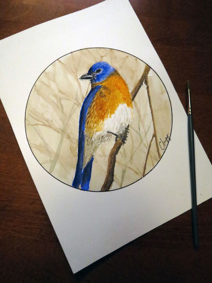 Eastern Bluebird - Original Watercolor Painting product image (1)