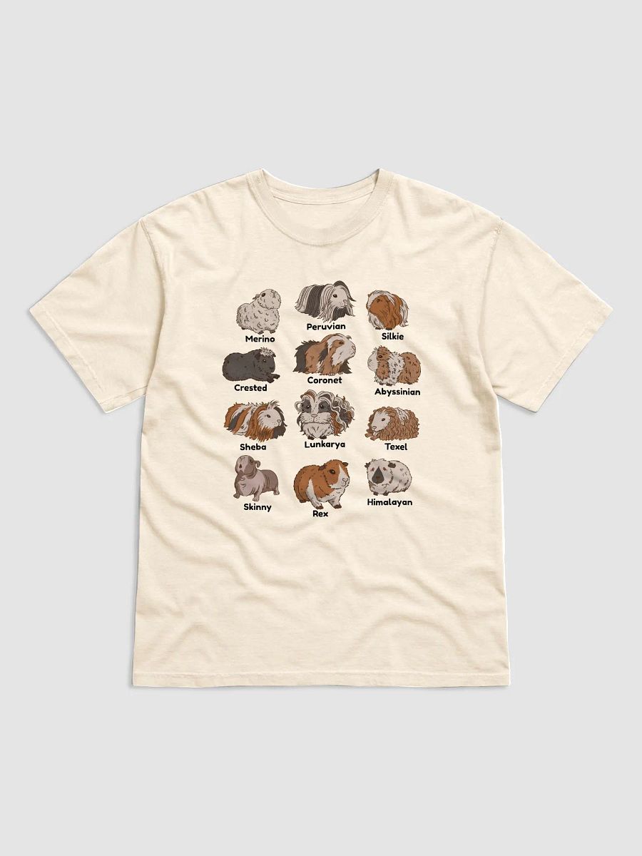 Types of Guinea Pigs T-Shirt | Cottagecore, Goblincore, and Dark Academia Shirt of Guinea Pigs product image (18)