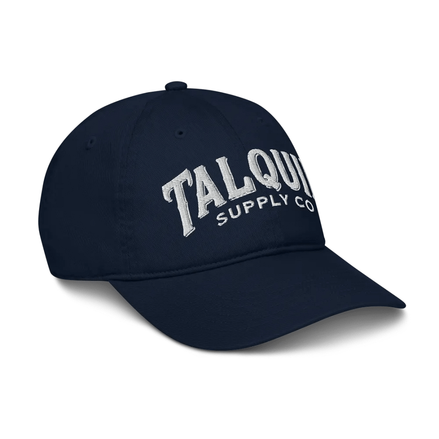 Organic Cotton Twill Logo Hat product image (8)