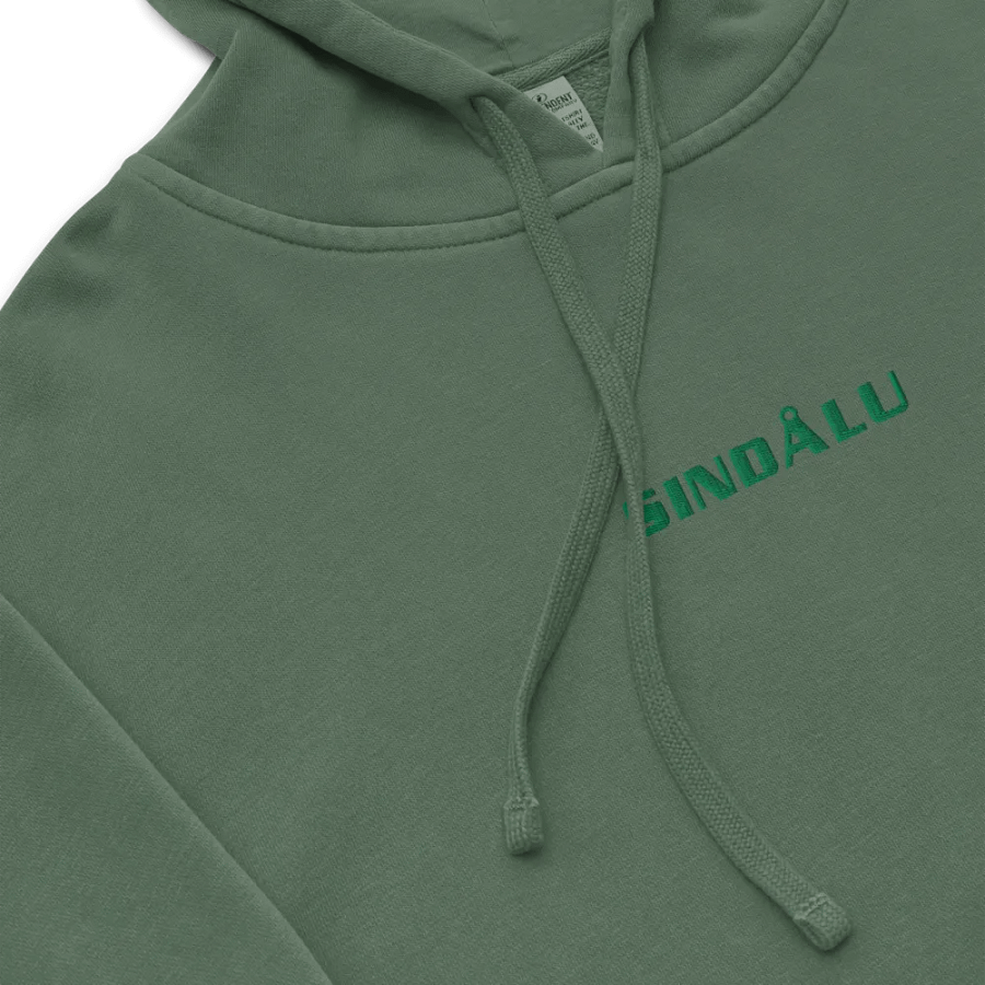 Sindalu Embroidered hoodie- green product image (4)